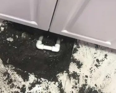 龙南查漏水哪家好